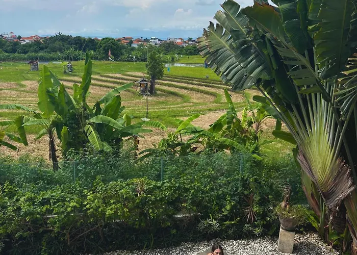 Dew Canggu *